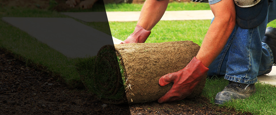 Riverdale Landscapers